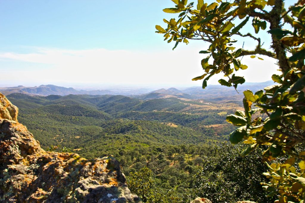 Descubre 10 Áreas Naturales Protegidas en Guanajuato