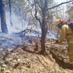 Consiguen contener en su totalidad el avance del incendio registrado en la Sierra de Santa Rosa