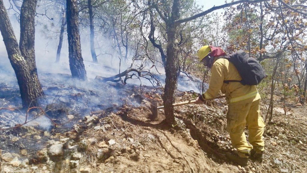 Brigadas logran contener avance del incendio forestal en la Sierra de Santa Rosa
