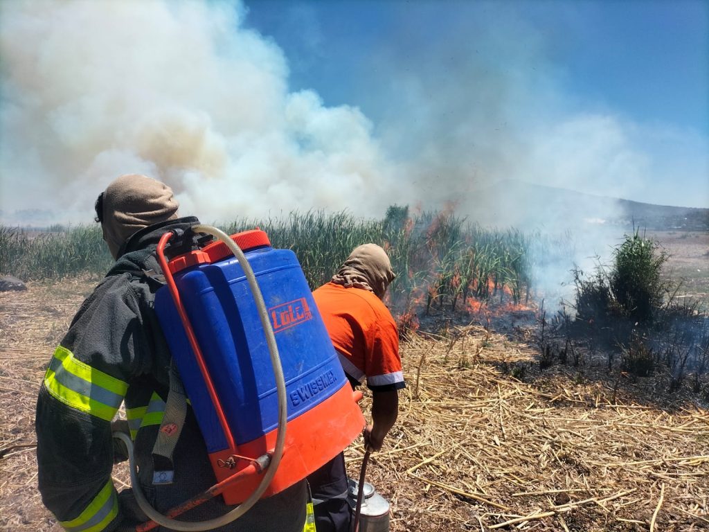Incendio en la Laguna de Yuriria: Autoridades trabajan arduamente para contener las llamas