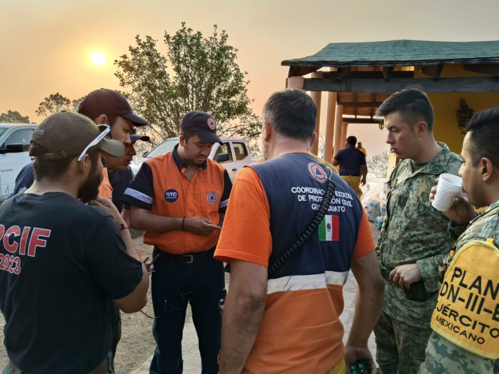 Extinguen en su totalidad incendio forestal en la Sierra de Lobos