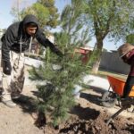 Extinguen en su totalidad incendio forestal en la Sierra de Lobos