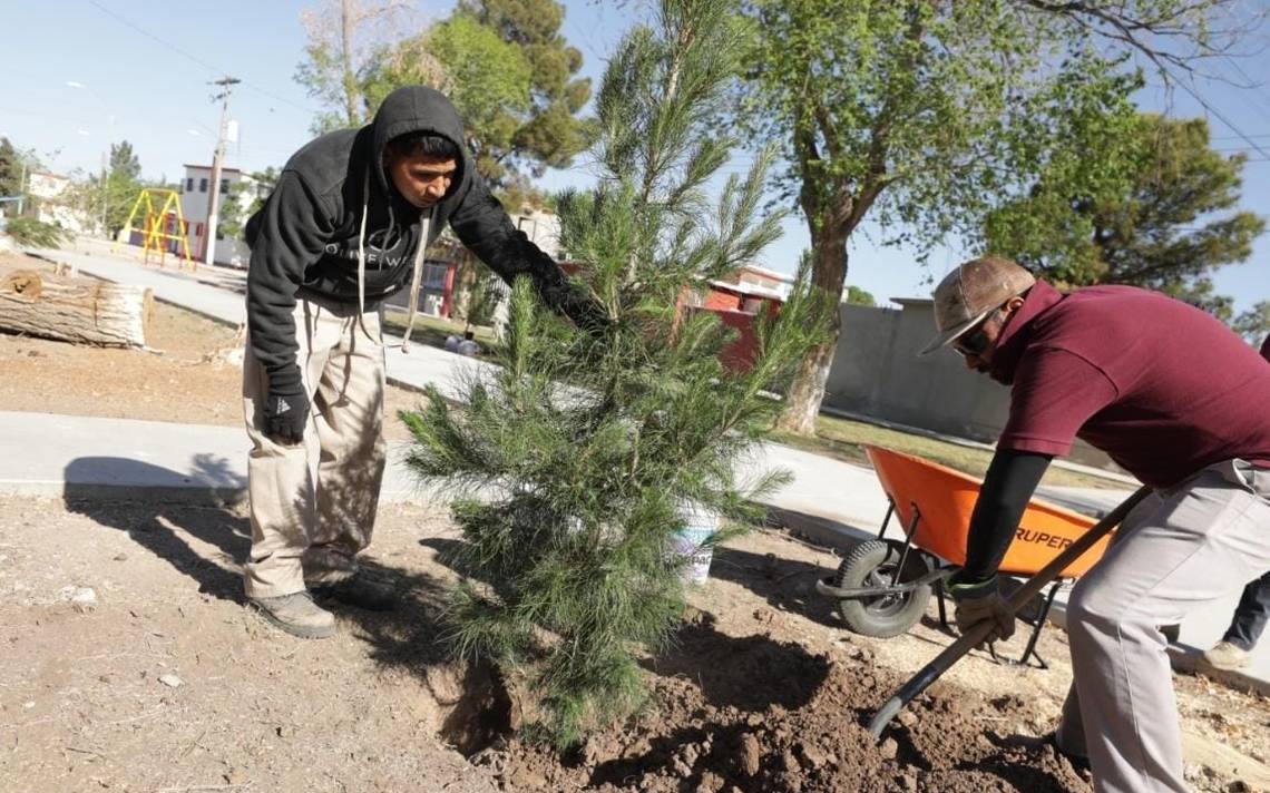 ¡León respira verde! Alcalde anuncia ambicioso plan de reforestación