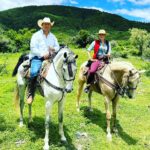 Con huapango, se despide Guanajuato de la Feria Internacional del Libro en Coyoacán