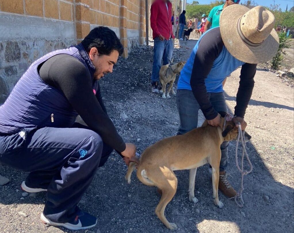 SSG conmemora y genera conciencia sobre el Día Mundial de la Zoonosis