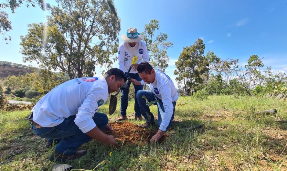 Conservación y biodiversidad