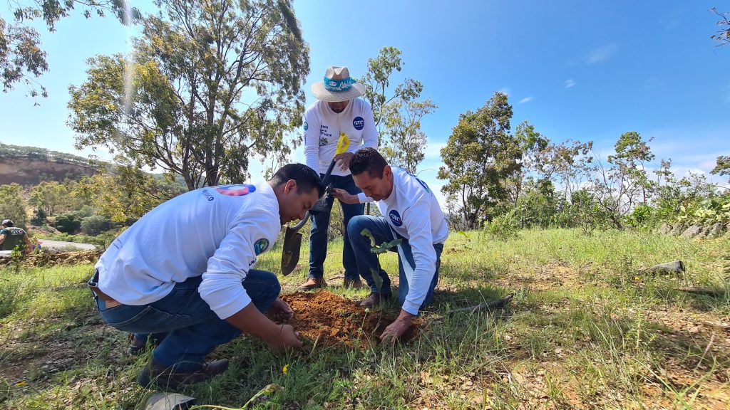 Conservación y Biodiversidad: Guanajuato Planta 3 Mil Árboles en Cuenca de la Esperanza