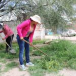 Guanajuato Aumenta su Fauna con Liberación de Mapaches y Lince Americano en Sierra de Lobos