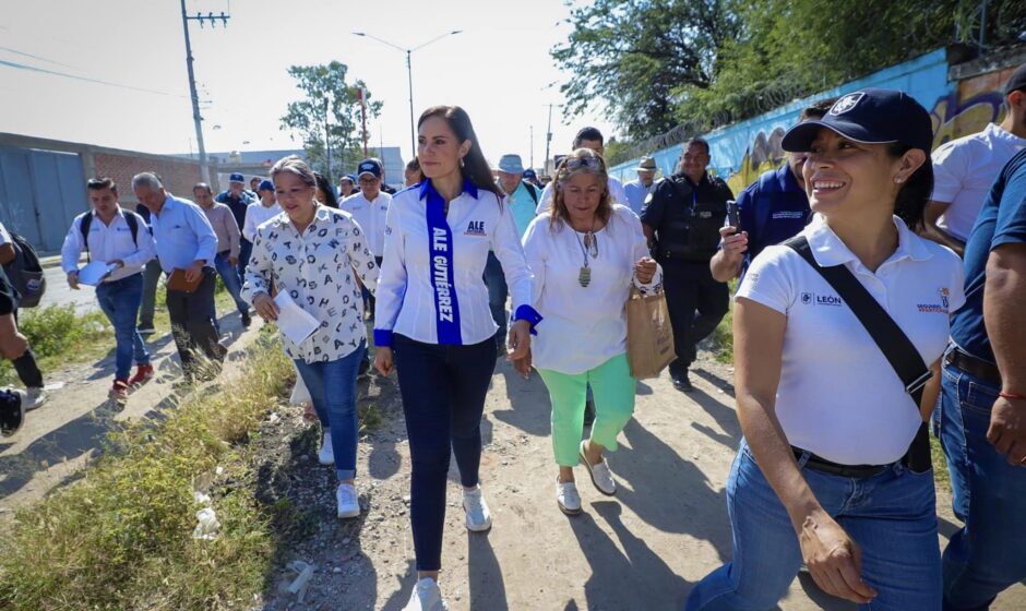 Trabajo en equipo