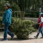 Guanajuato Impulsa la Fruticultura como Alternativa Rentable para Productores