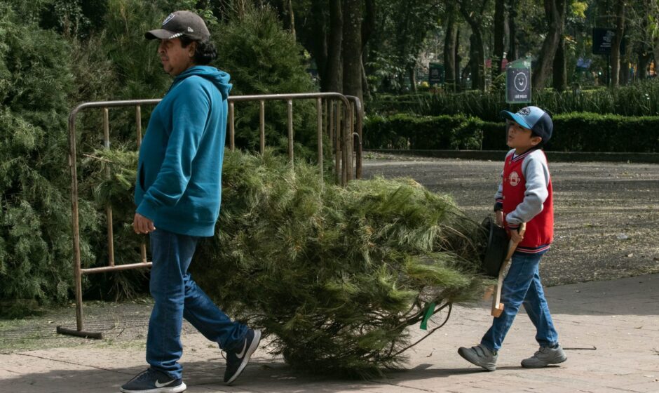 Recicla tu árbol