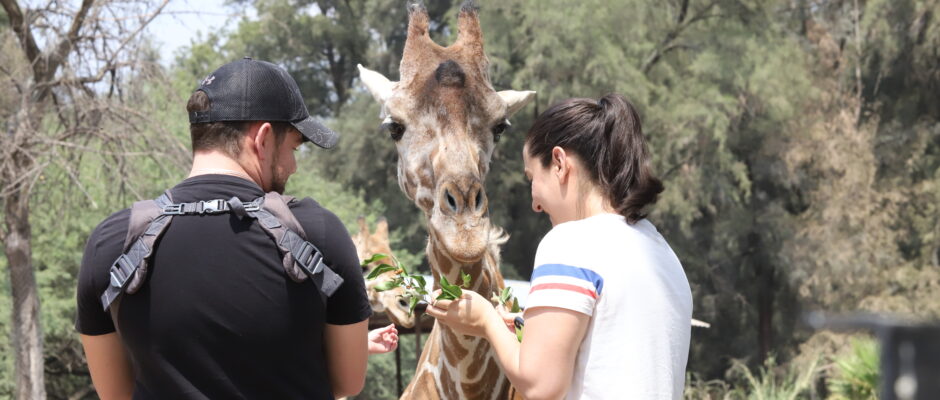 Zoológico de León