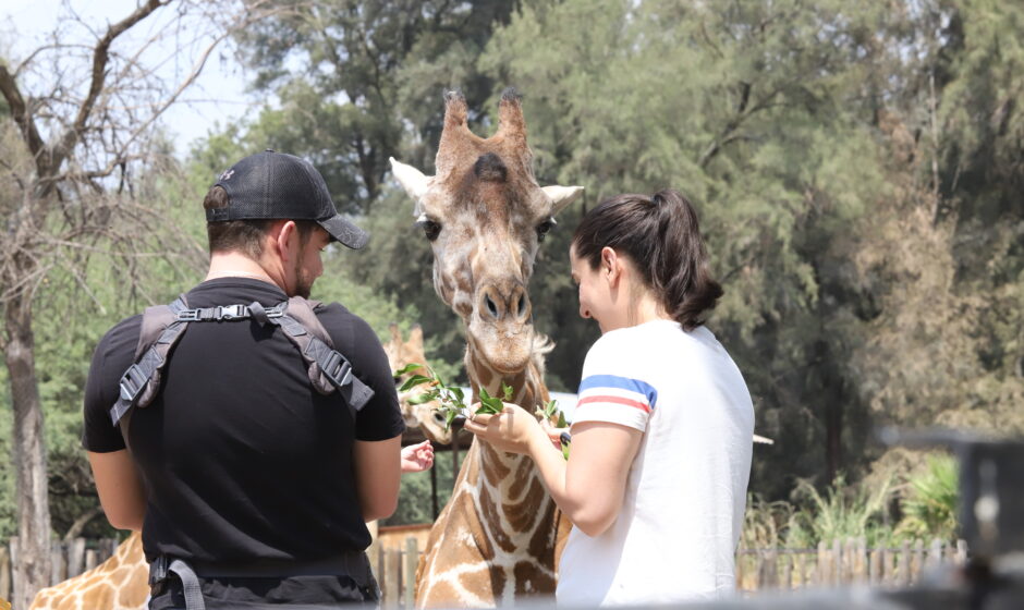 Zoológico de León