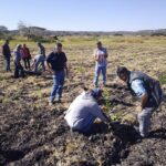 ¡Extrememos Precauciones! Frente Frío 21 y 22 Impacta a Irapuato con Bajas Temperaturas