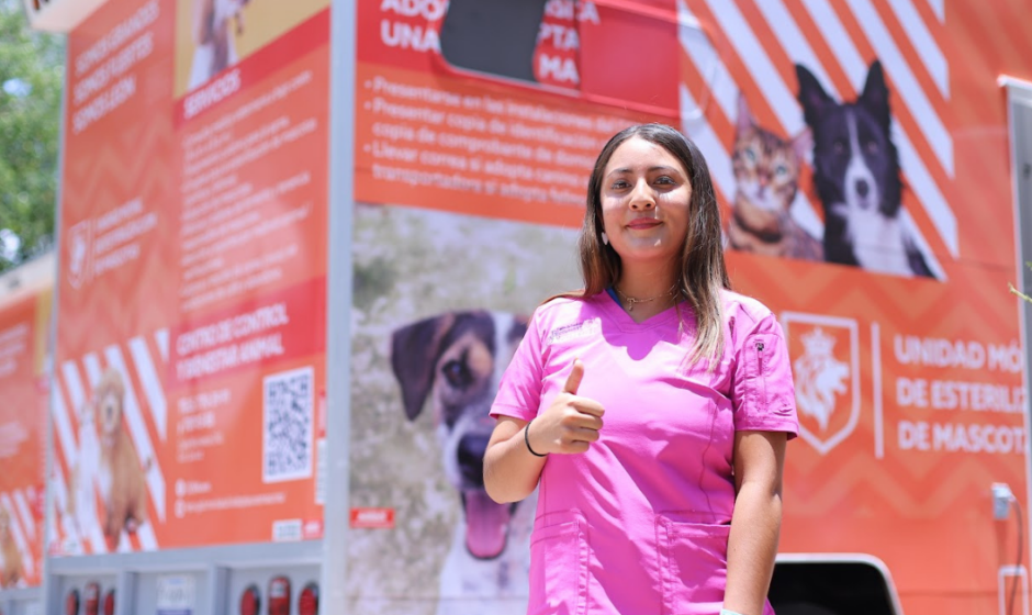 Esterilización gratuita mascotas