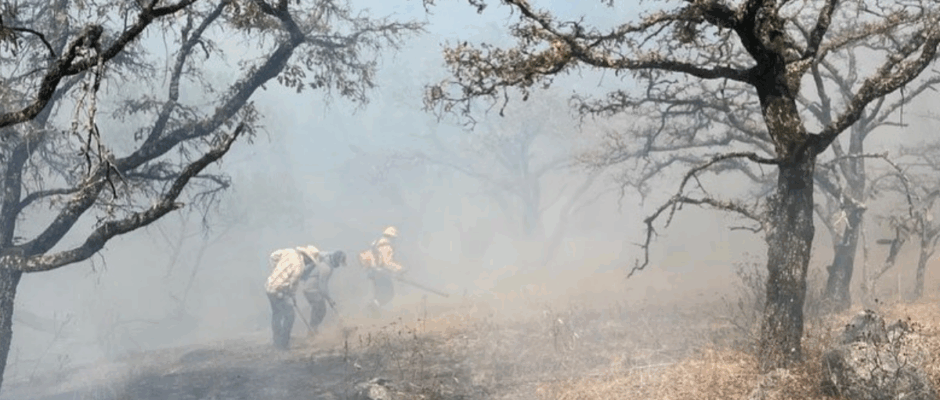 Incendio Sierra Agustinos
