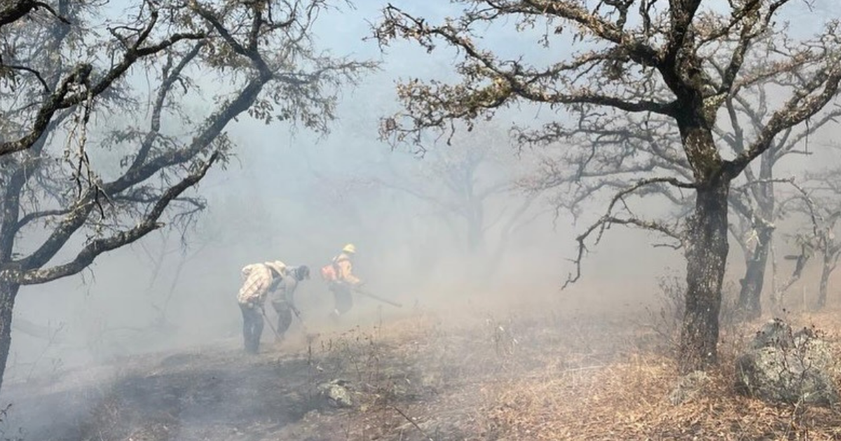 Controlan incendio forestal en Sierra de los Agustinos con apoyo de brigadas voluntarias