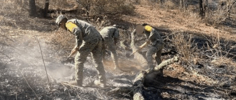 Incendio en Jerécuaro
