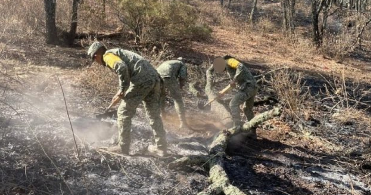 Muere voluntario en incendio de Jerécuaro: valentía que deja huella