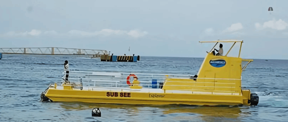 Subsee Cancún tour