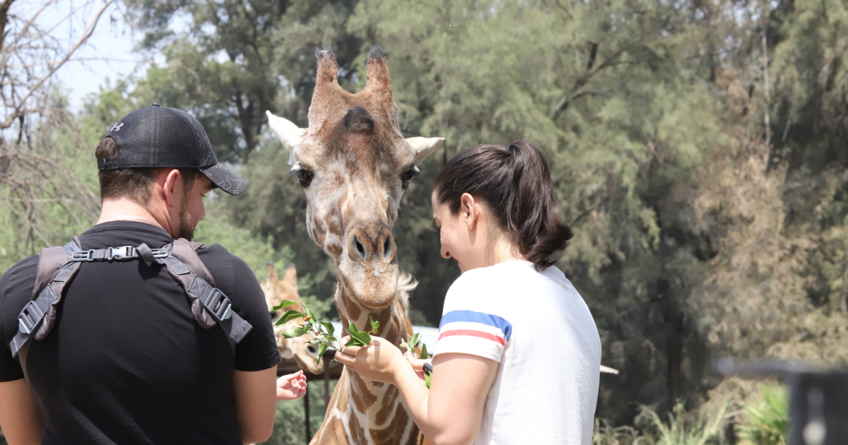 Zoo León celebra el “Zoo Festival” con diversión, naturaleza y entrada gratis en Semana Santa