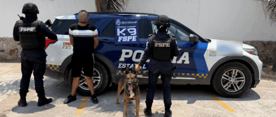 Figo detecta marihuana