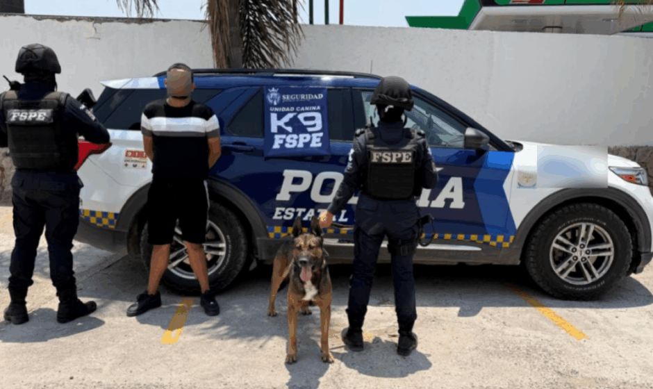 Figo detecta marihuana