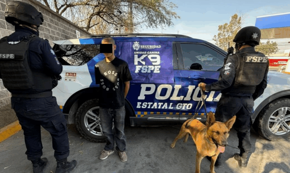 Perro K9 FSPE