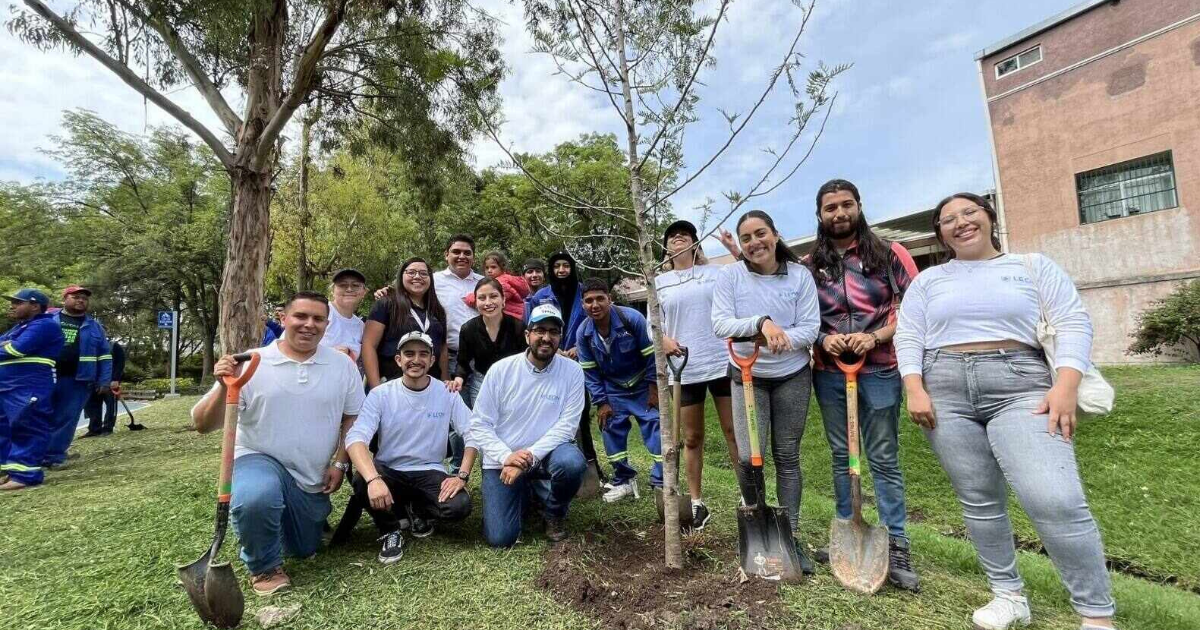 Juventudes con causa: 285 proyectos transformarán comunidades en León