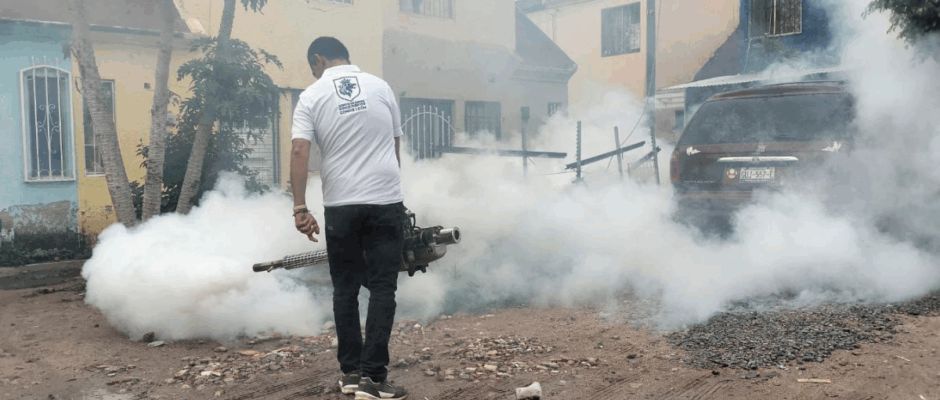 Prevención del dengue