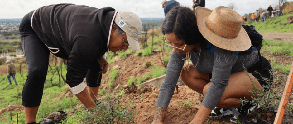 Reforestación en Purísima
