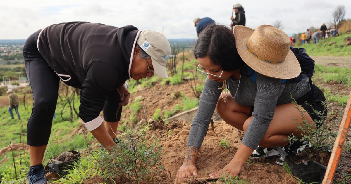 Reforestan con 800 mezquites el Ecoparque Mil Azahares en Purísima