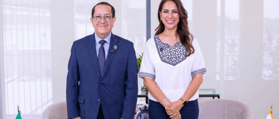 Sistema de salud de Guanajuato