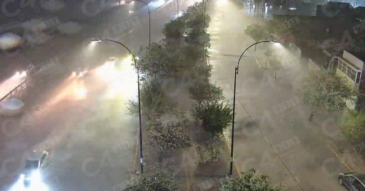 Lluvia intensa en León provoca caída de árbol y baja visibilidad