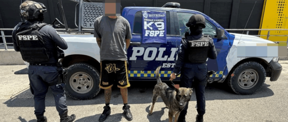 Binomio K9 FSPE