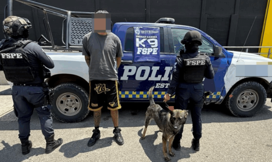Binomio K9 FSPE