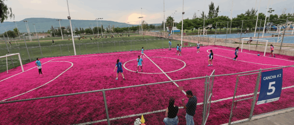 Cancha Rosa Purísima