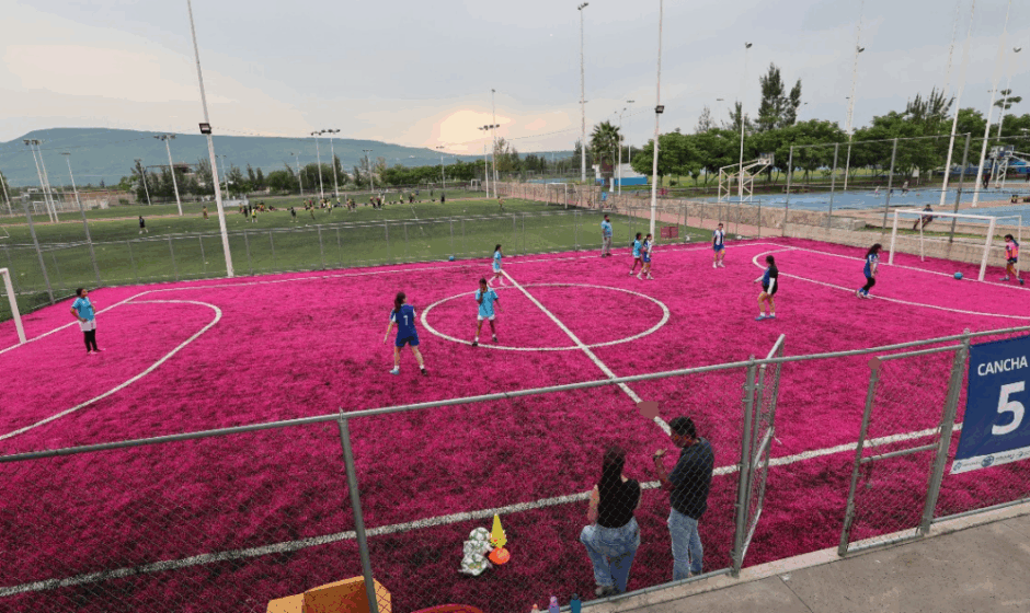 Cancha Rosa Purísima