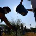 Jalpa de Cánovas brilla en Canal Once: promoción turística con identidad y tradición