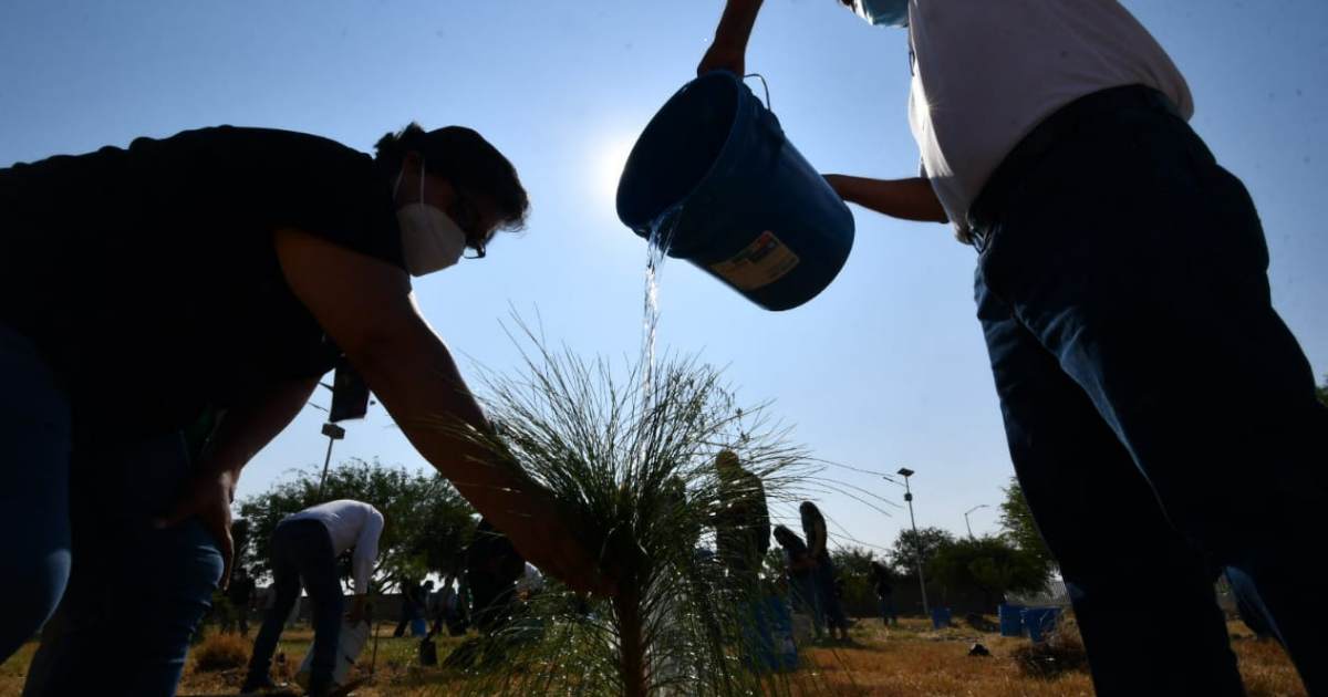Irapuato celebra el Día del Árbol con la plantación de más de 3 mil ejemplares
