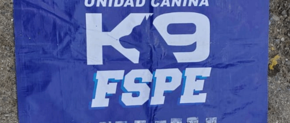 K9 detecta droga