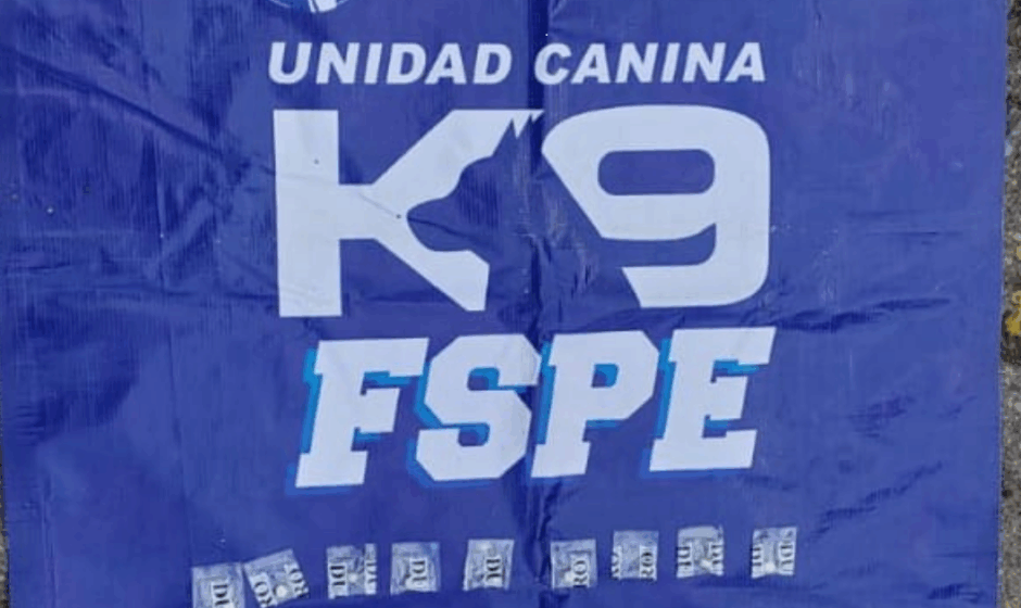 K9 detecta droga