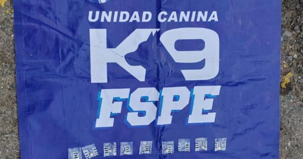 K9 detecta droga y permite detención de menor en León