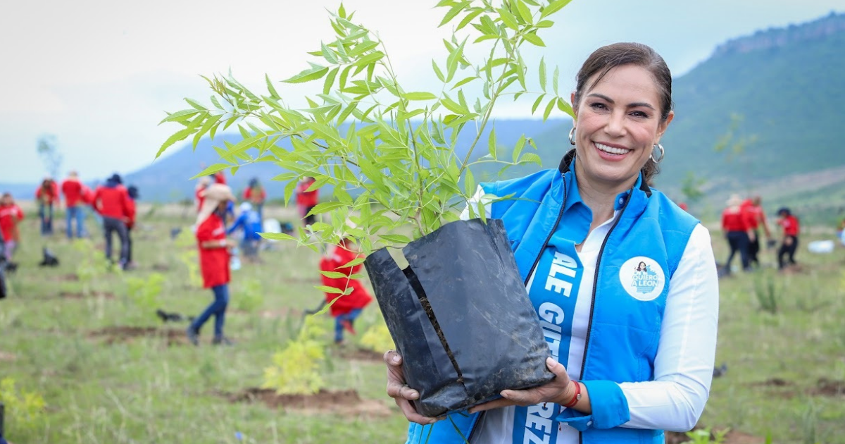 León planta más de 3 mil árboles en jornada 2025 por un futuro más verde