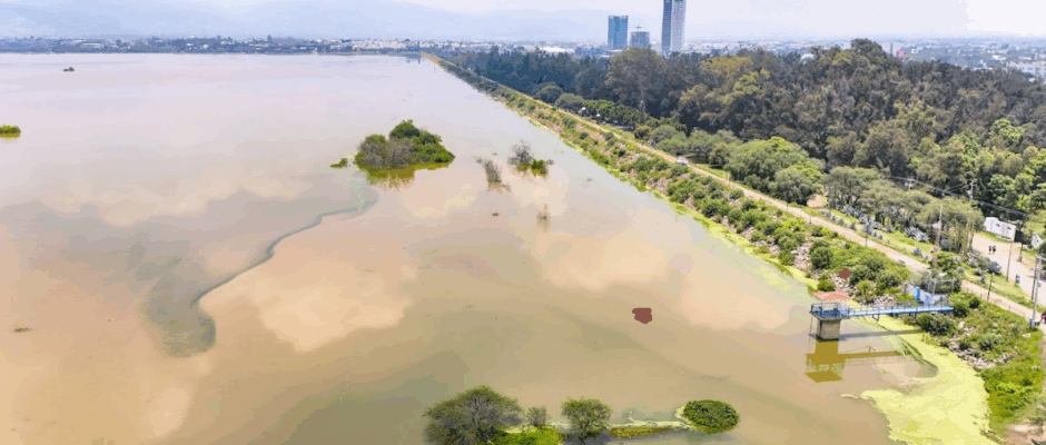 Parque Metropolitano León