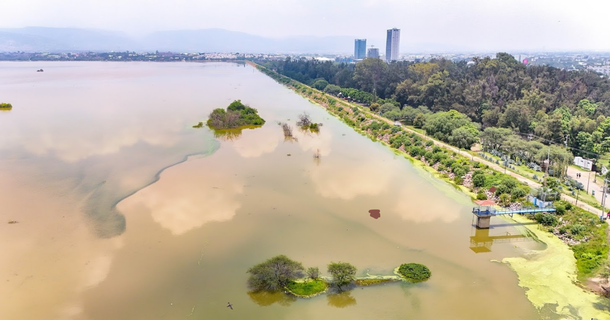 Récord histórico en el Parque Metropolitano de León durante este verano 2025