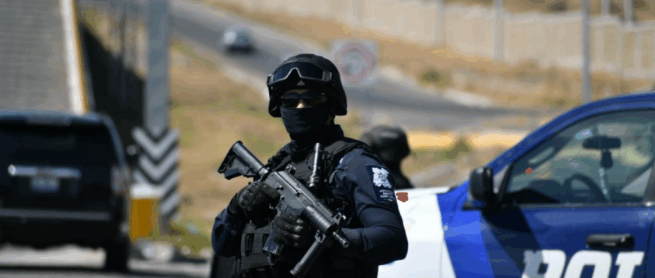 Reducción histórica de homicidios