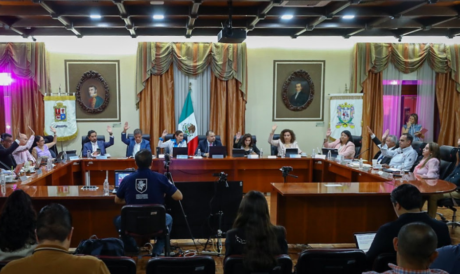 Consejo Consultivo Discapacidad