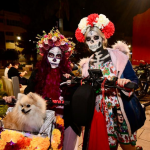 Purísima del Rincón celebra el Día de Muertos con tradición y unión en la comunidad El Toro