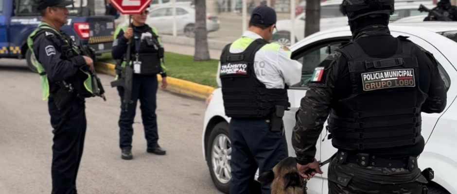 Seguridad en Irapuato